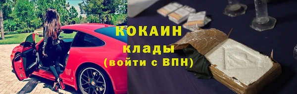 шишки Алексин