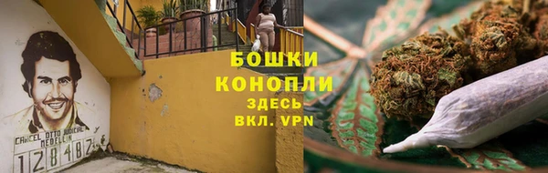 шишки Алексин