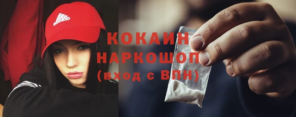 шишки Алексин