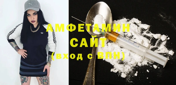 шишки Алексин