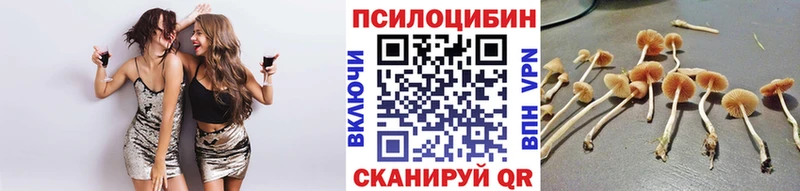 хочу Жирновск Галлюциногенные грибы GOLDEN TEACHER